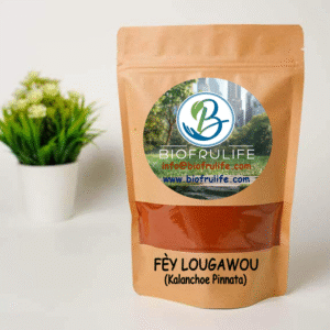FÈY LOUGAWOU