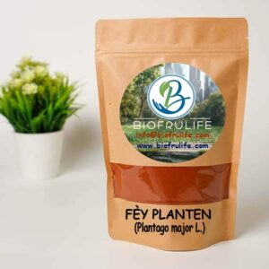 FÈY PLANTEN