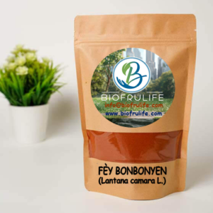 FÈY BONBONYEN (Yo rele li tou : Mari dèyè lopital |  Bwa jounou |  Zèbaplon |  Melis mawon)